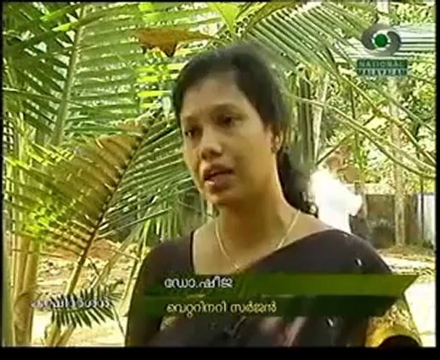 krishidarsan v and v part 2.flv