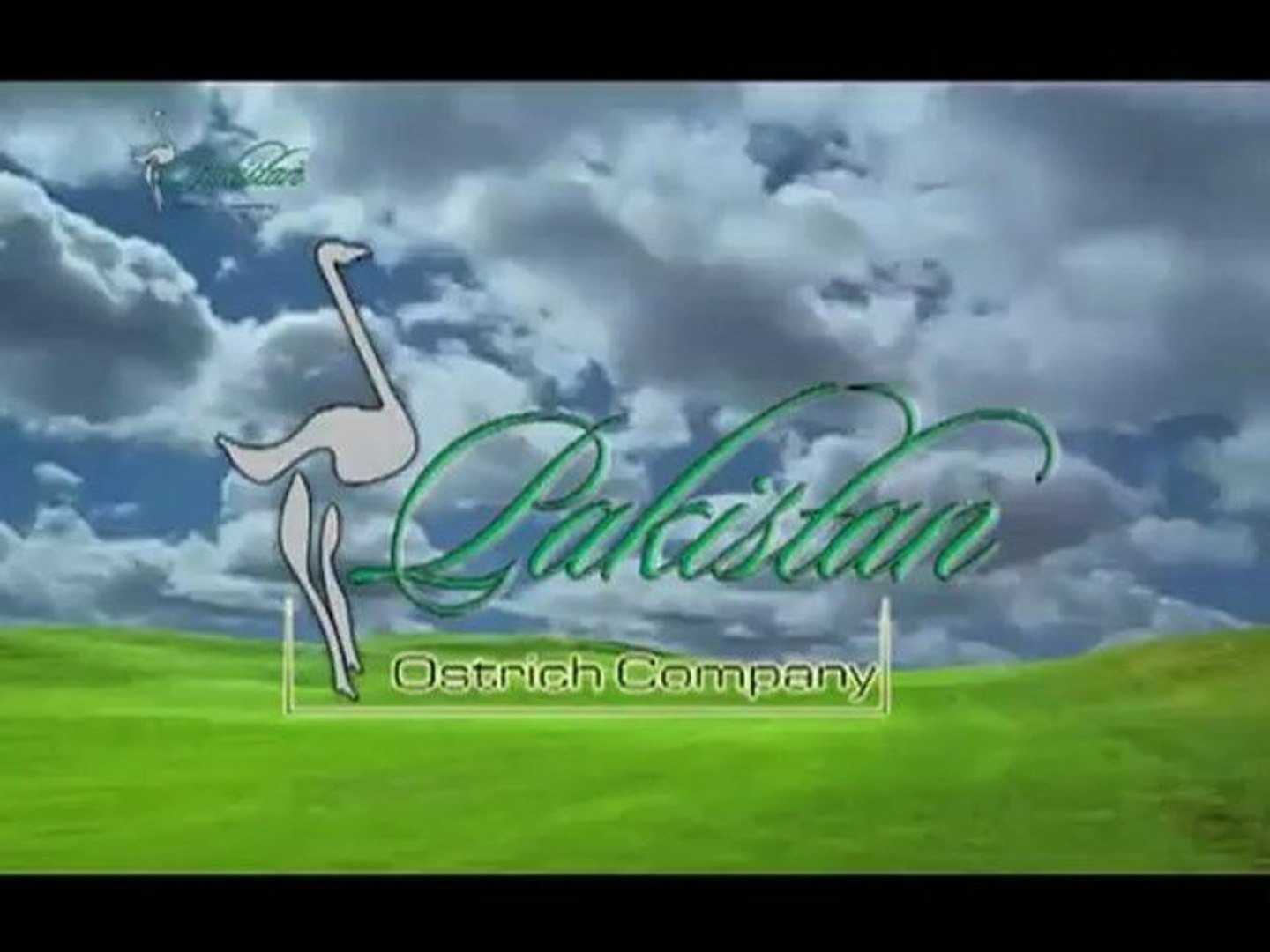 Pakistan Ostrich Company PakOstrich