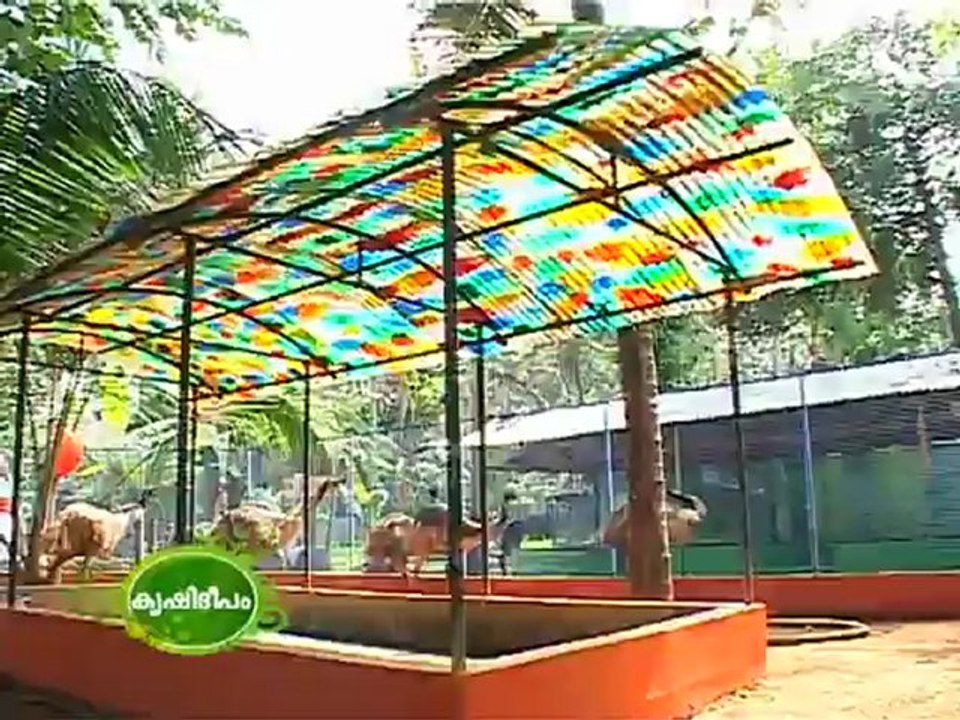 Krishideepam Joy Chemmachel J Yes Farms 1