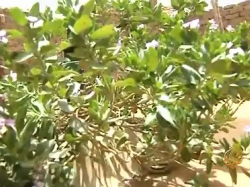 دارفور..مخيمات البؤس