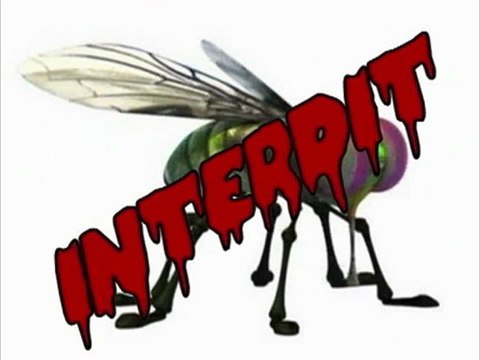 Pas plus de deux mouches !!!