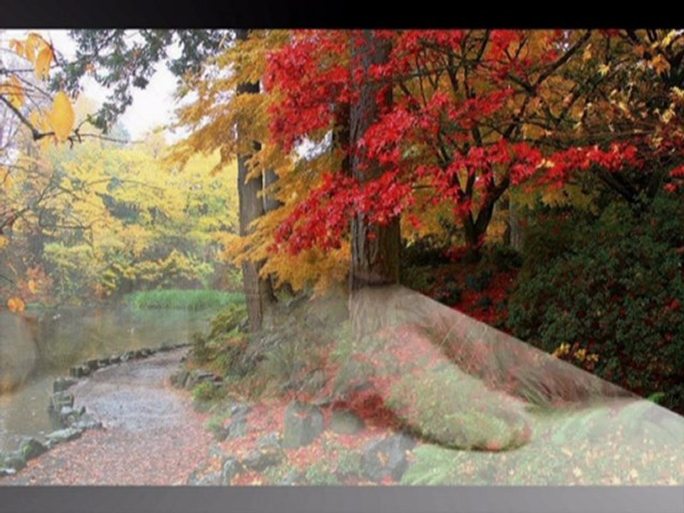 Seni seninle yasamak