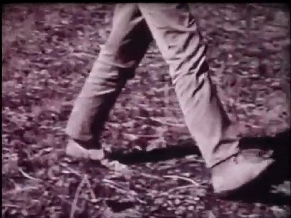 Count Down for the Everglades (1971, 60 minutes), Part 2