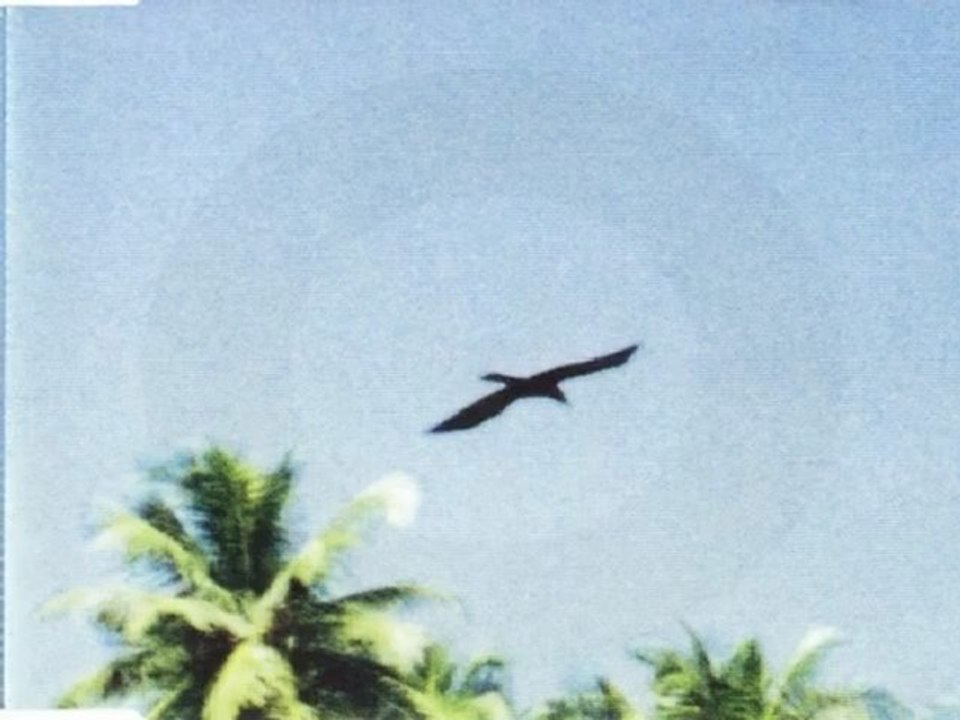 Orbital & Angelo Badalamenti-Beached [Long Version]