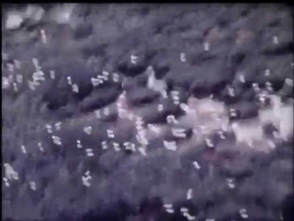 Count Down for the Everglades (1971, 60 minutes), Part 4