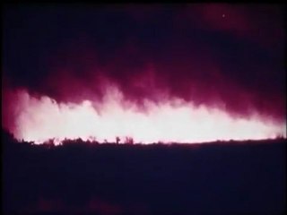 Count Down for the Everglades (1971, 60 minutes), Part 5