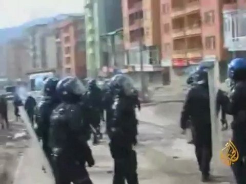 أسراب الحمام تتبع تقاليد عريقة في الديمقراطية