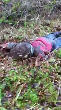 quad movié 660 grizzly