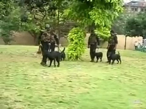 Las fuerzas armadas indias abaten a los últimos terroristas