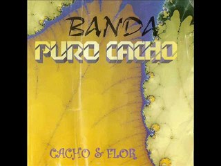 Jorge Lu - Banda Puro Cacho - A saga de Chico
