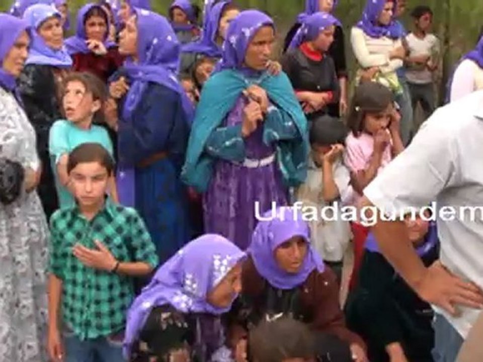 urfa-kanalda boğuldu