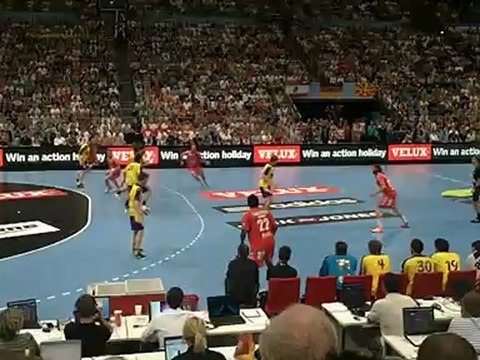 Kung-Fu danois en zone