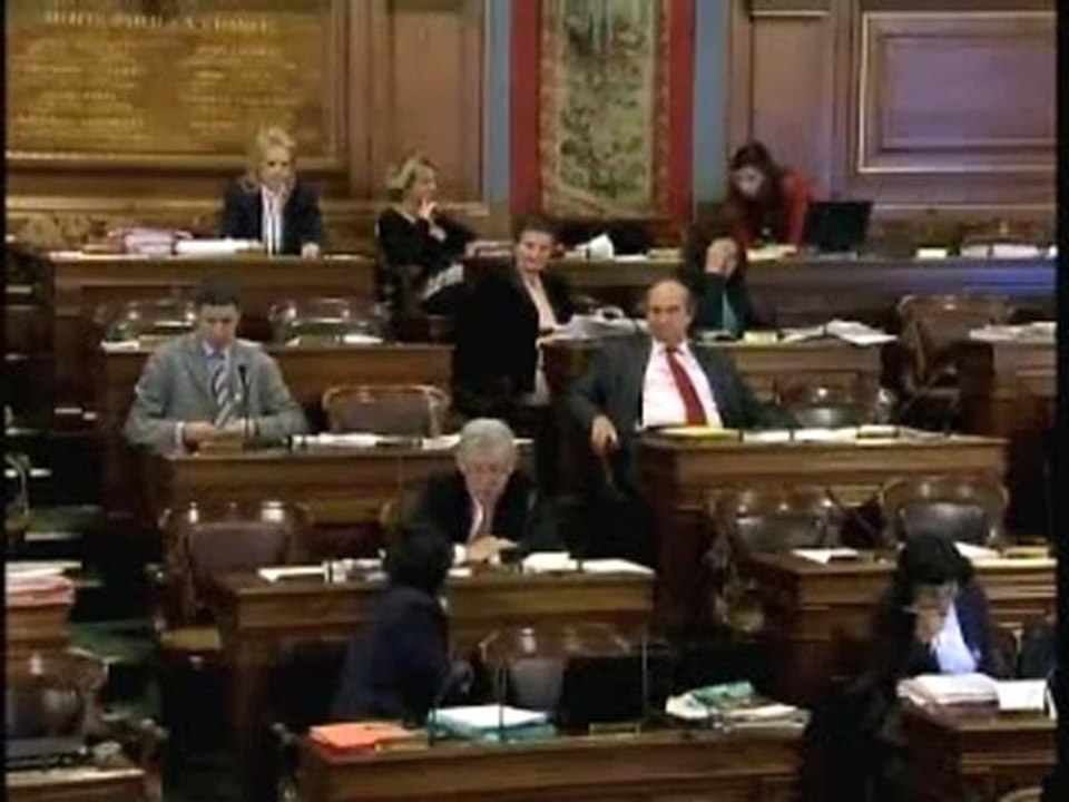 Valerie Sachs au Conseil de Paris (24 Nov. 2008) 1