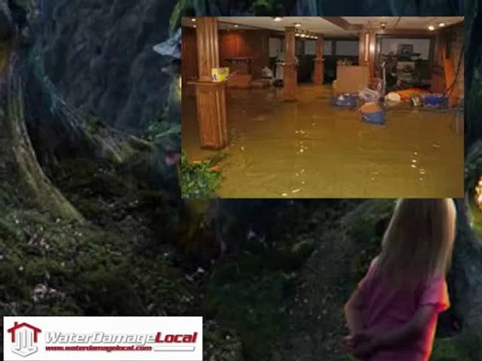 Lindon Water Damage Company