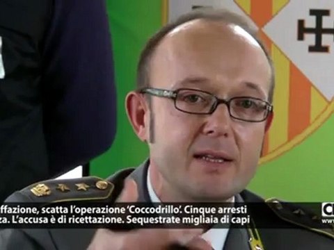 Gdf Cosenza. Operazione “Coccodrillo” contro contraffazione, 5 arresti