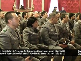 Corpo forestale Cosenza. Nel 2010 accertati oltre 700 reati