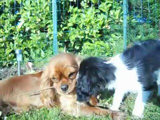 Mais chacun veut la même !!!