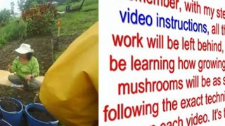 growing mushrooms kits - home growing mushrooms - magic mushroom kits