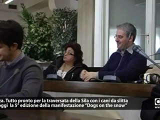 Crotone, riqualificazione ambientale dell’area archeologica antica Kroton