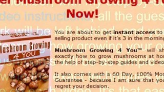 growing button mushrooms - guide growing mushrooms - growing edible mushrooms