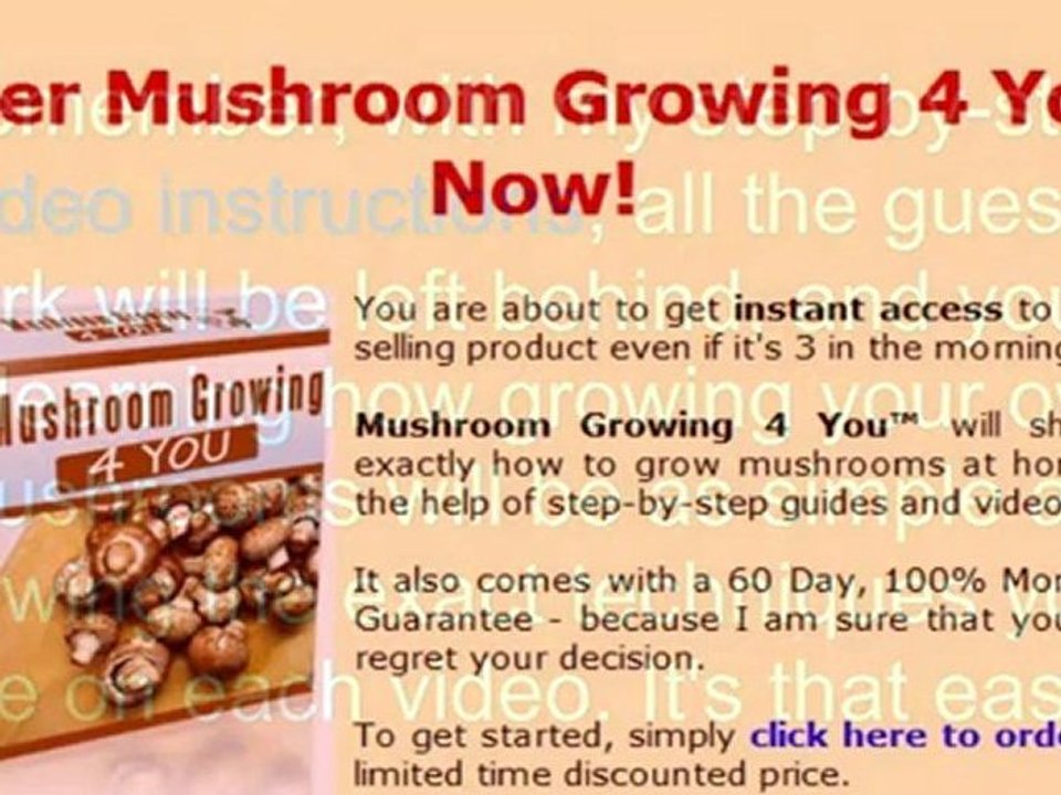 growing button mushrooms - guide growing mushrooms - growing edible mushrooms