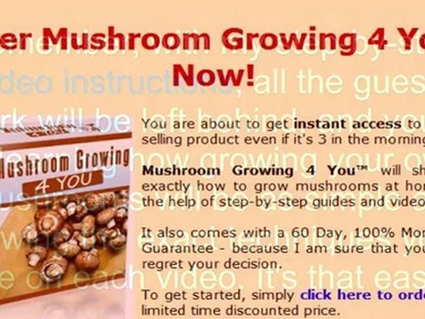 grow mushroom kit - buy mushroom spores - purchase mushroom spores