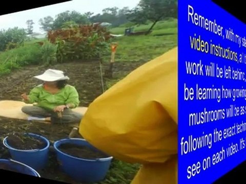 growing of mushrooms - how grow mushrooms - easy to grow mushrooms