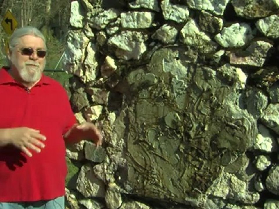 Ophir Loses Plaque
