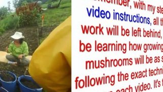 home mushroom cultivation - mushroom cultivation guide - farming mushroom