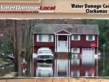 Clackamas Water Damage Company - Black Mold Removal