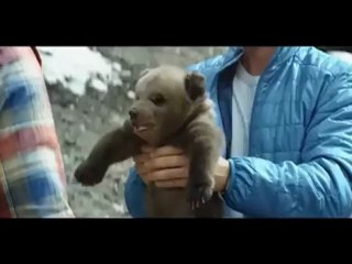 Worst and dumbest bets ever: the Swedes win!