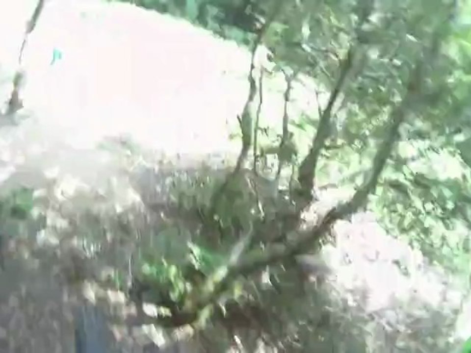 nivot cam embarquée 28 05 2012