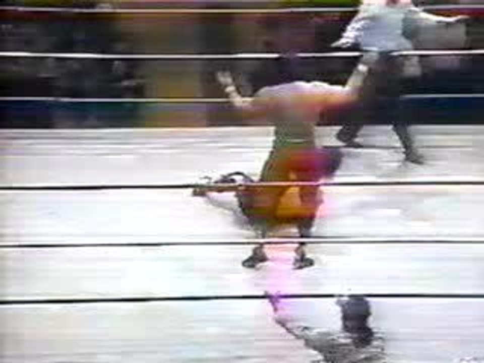 Bret Hart vs Ricky Steamboat video Dailymotion
