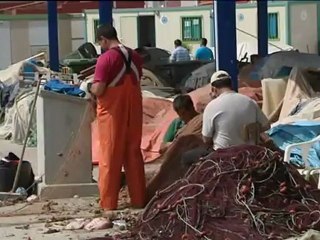 R.Unido y España piden "una solución local" al conflicto pesquero en Gibraltar