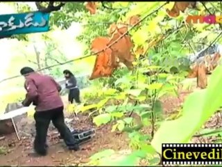 CID - Telugu May 29 -1