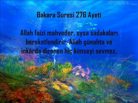 Kuran Ayetlerin Dizilere İbretlik Cevabı 2