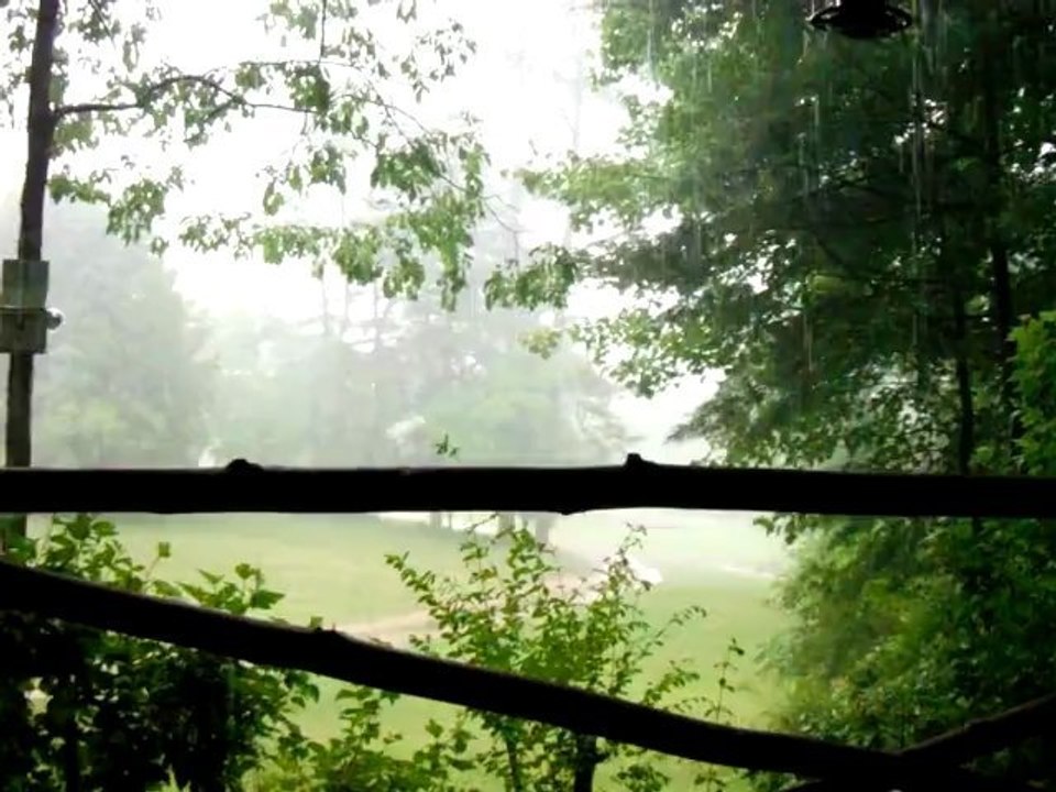 Tiger Rain