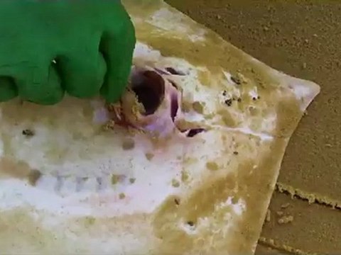 Pêche en surfcasting