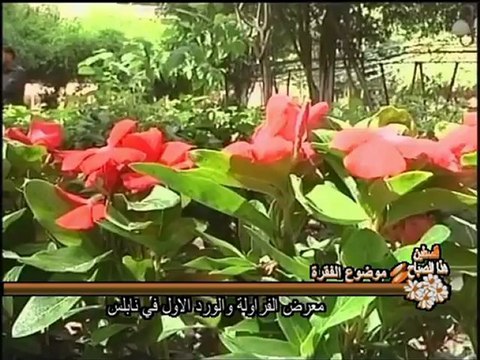 فلسطين هذا الصباح 29-5_chunk_2(