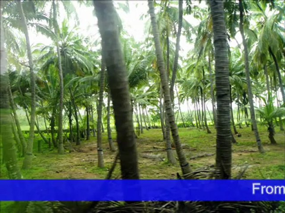 Kerala  The Beauty Queen