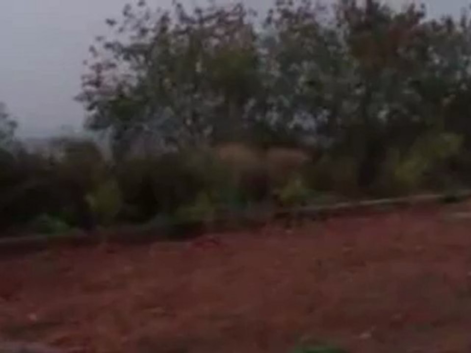 kailasagiri