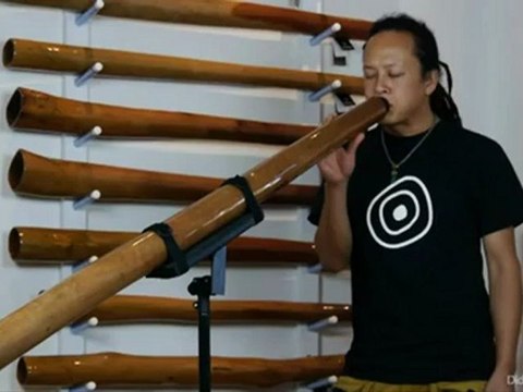 STIX didgeridoo #161 Key 'D#'