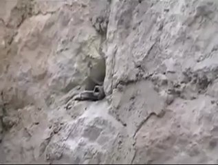 Syria فري برس حمص  القصف على المساجد 29 5 2012 Homs