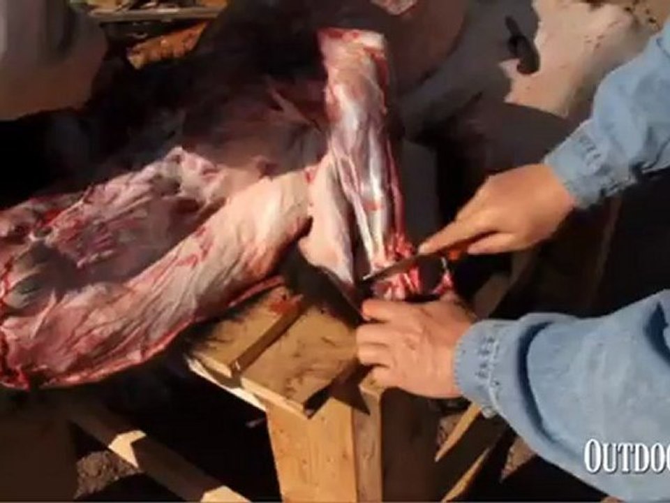 Bear Week: Knives for Skinning