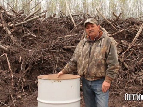 Bear Week - Baits and Judging