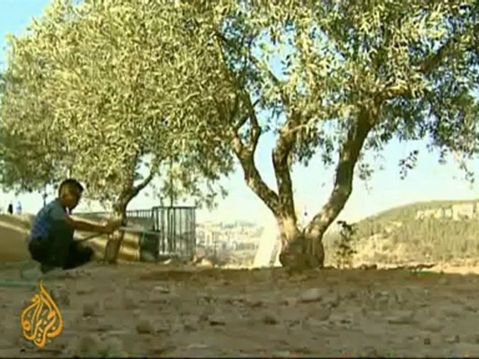 Controversy surrounds West Bank tunnel
