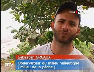 Mouillage de DCP géolocalisables au large de la Martinique