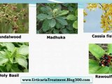 Papular Urticaria Natural - Solar Urticaria Cure - Chronic Urticaria