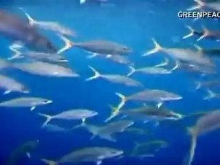 Radioactive tuna may raise cancer risks - nuclear professor