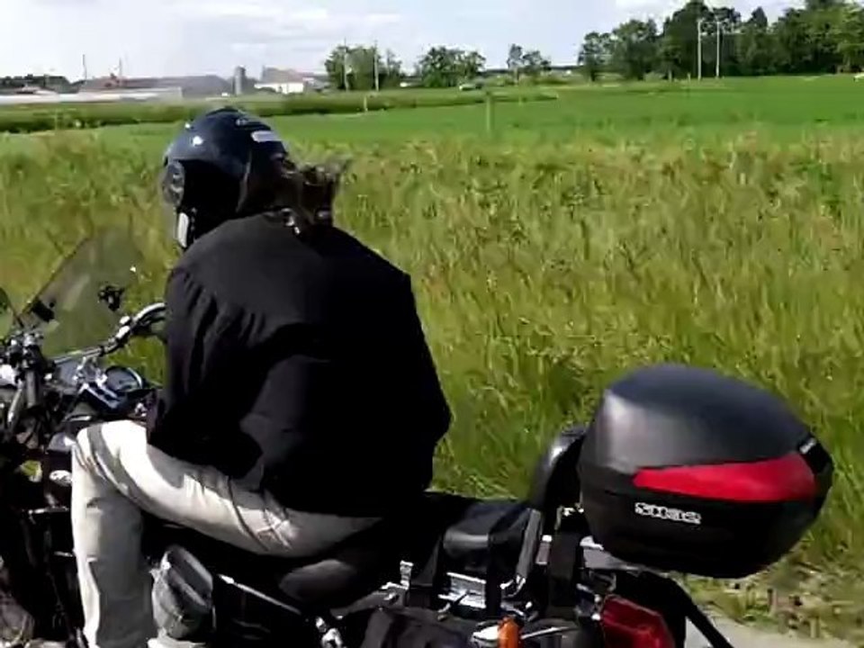 sur la route pour Gracay pour la rencontre annuelle des chiens motards